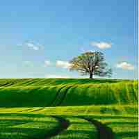 智‍能‍网​页​压‍缩‌软‌件‍